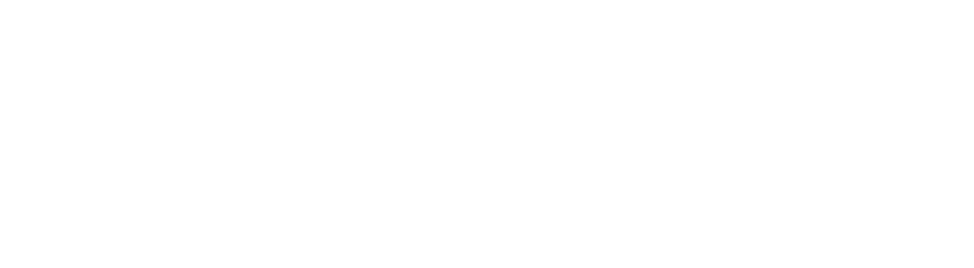 netpartners